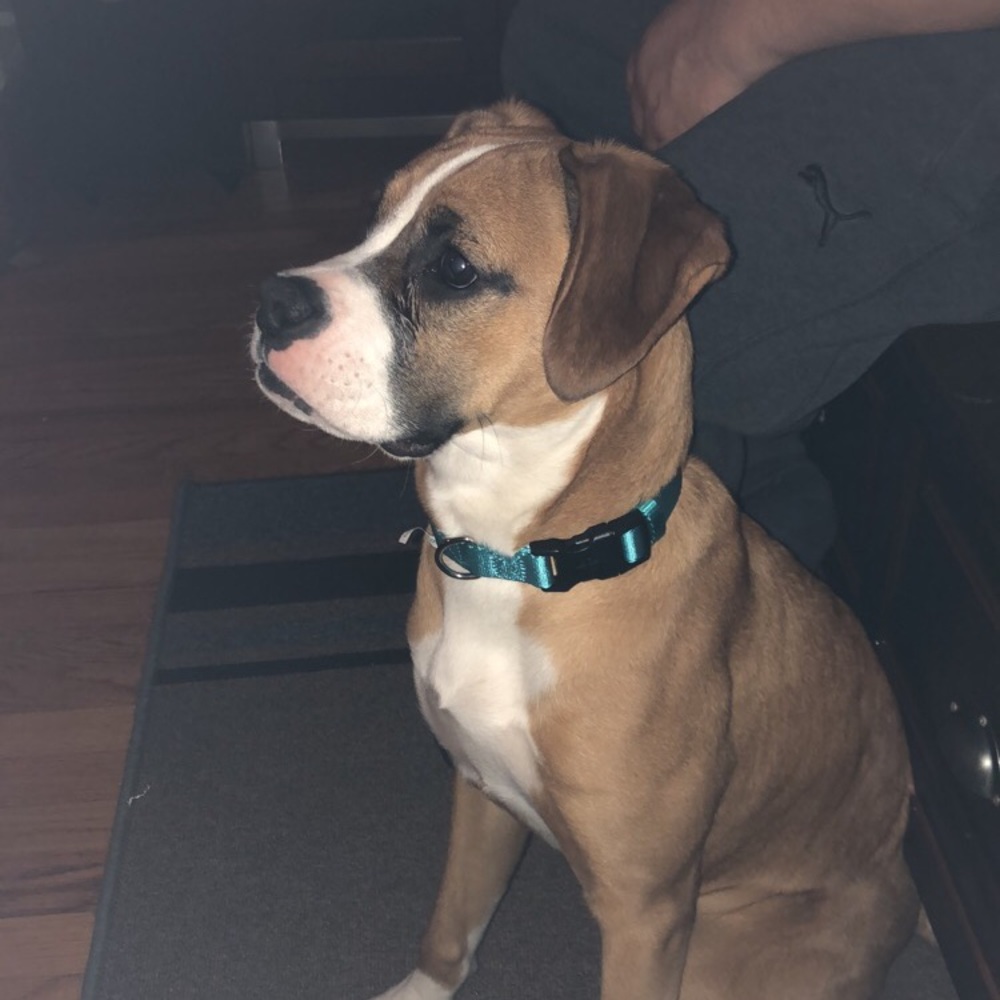 Meet your Posher, Emili